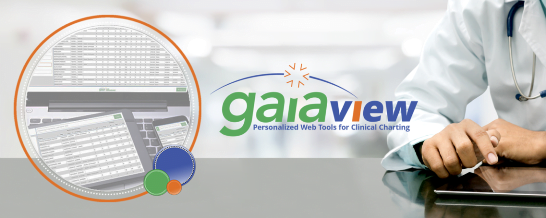 GaiaView-Physician-Rounding-Personalized-Web-Tools-for-Clinical-Charting